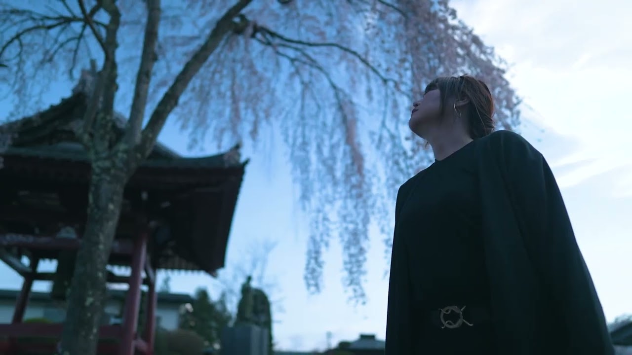 桜の木の下で空を見上げる人物の映像